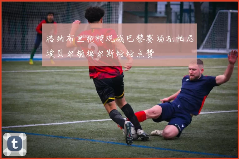 格纳布里轮椅观战巴黎赛场孔帕尼埃贝尔胡梅尔斯纷纷点赞